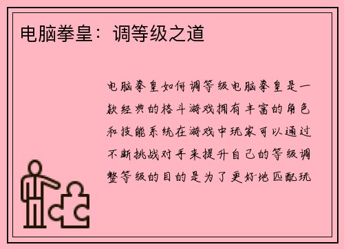 电脑拳皇：调等级之道